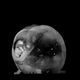 Image for article titled Photographs of Atomic Bomb Tests Are Like Science Fiction Made Real
